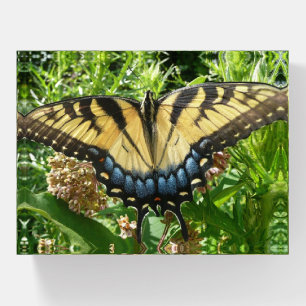 Swallowtail Butterfly II at Shenandoah Paperweight