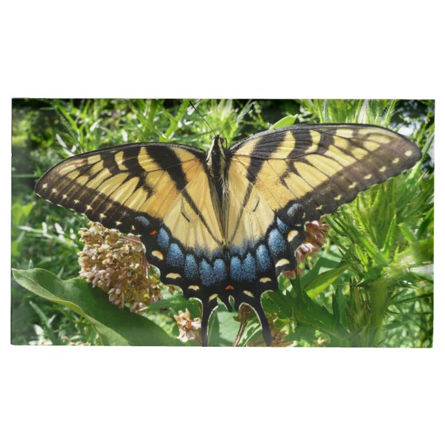 Swallowtail Butterfly II at Shenandoah Place Card Holder (Front)
