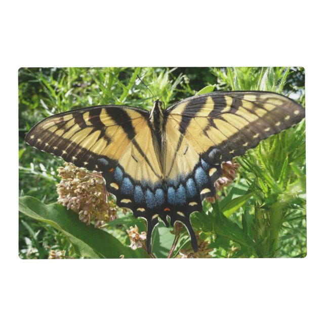 Swallowtail Butterfly II at Shenandoah Placemat (Front)