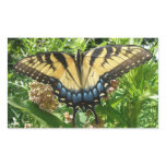 Swallowtail Butterfly II at Shenandoah Rectangular Sticker