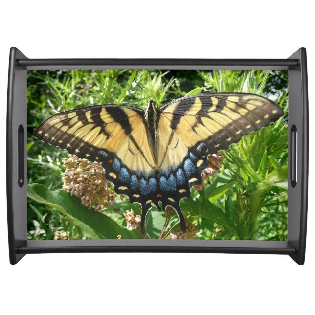 Swallowtail Butterfly II at Shenandoah Serving Tray (Front)