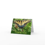 Swallowtail Butterfly II at Shenandoah Thank You Card