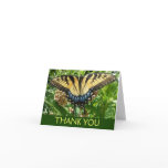Swallowtail Butterfly II at Shenandoah Thank You Card