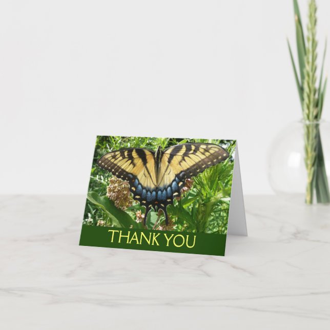 Swallowtail Butterfly II at Shenandoah Thank You Card (Front)