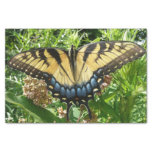 Swallowtail Butterfly II at Shenandoah Tissue Paper