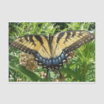 Swallowtail Butterfly II at Shenandoah Tissue Paper