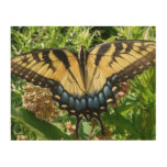 Swallowtail Butterfly II at Shenandoah Wood Wall Decor