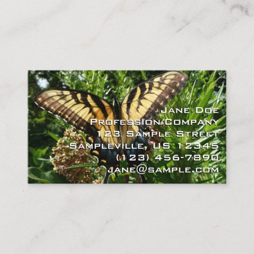 Swallowtail Butterfly III Beautiful Colorful Photo Business Card