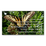 Swallowtail Butterfly III Beautiful Colorful Photo Business Card Magnet
