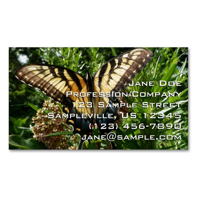 Swallowtail Butterfly III Beautiful Colorful Photo Business Card Magnet (Front)