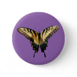 Swallowtail Butterfly III Beautiful Colorful Photo Button