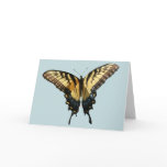 Swallowtail Butterfly III Beautiful Colorful Photo Card