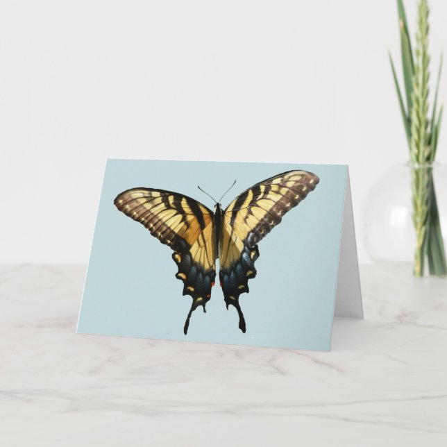 Swallowtail Butterfly III Beautiful Colorful Photo Card (Front)