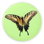 Swallowtail Butterfly III Beautiful Colorful Photo Ceramic Knob