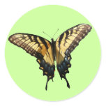 Swallowtail Butterfly III Beautiful Colorful Photo Classic Round Sticker