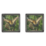 Swallowtail Butterfly III Beautiful Colorful Photo Cufflinks