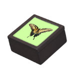 Swallowtail Butterfly III Beautiful Colorful Photo Jewelry Box