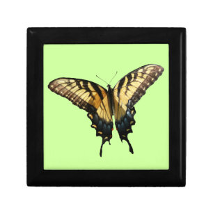 Swallowtail Butterfly III Beautiful Colorful Photo Keepsake Box