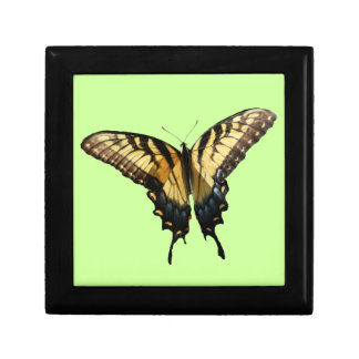 Swallowtail Butterfly III Beautiful Colorful Photo Keepsake Box