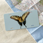 Swallowtail Butterfly III Beautiful Colorful Photo License Plate