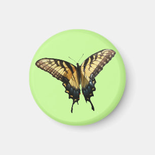 Swallowtail Butterfly III Beautiful Colorful Photo Magnet