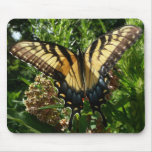Swallowtail Butterfly III Beautiful Colorful Photo Mouse Pad