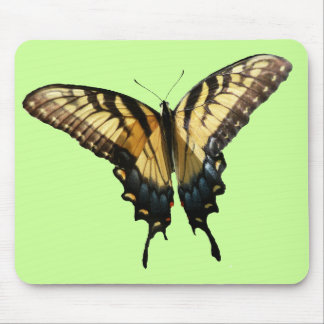 Swallowtail Butterfly III Beautiful Colorful Photo Mouse Pad