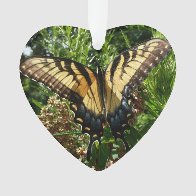 Swallowtail Butterfly III Beautiful Colorful Photo Ornament (Front)
