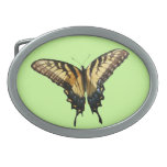 Swallowtail Butterfly III Beautiful Colorful Photo Oval Belt Buckle