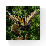 Swallowtail Butterfly III Beautiful Colorful Photo Paperweight
