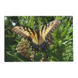 Swallowtail Butterfly III Beautiful Colorful Photo Placemat