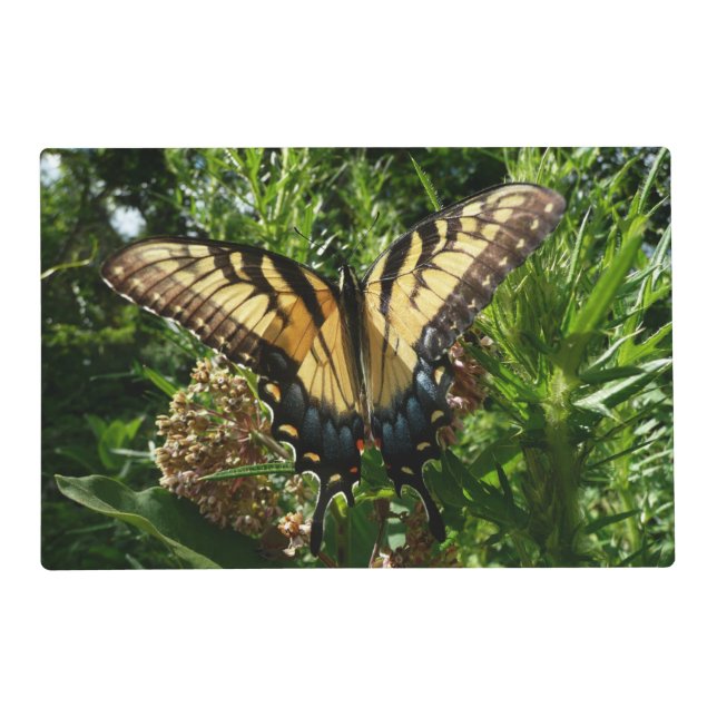 Swallowtail Butterfly III Beautiful Colorful Photo Placemat (Front)
