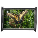 Swallowtail Butterfly III Beautiful Colorful Photo Serving Tray