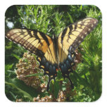 Swallowtail Butterfly III Beautiful Colorful Photo Square Sticker