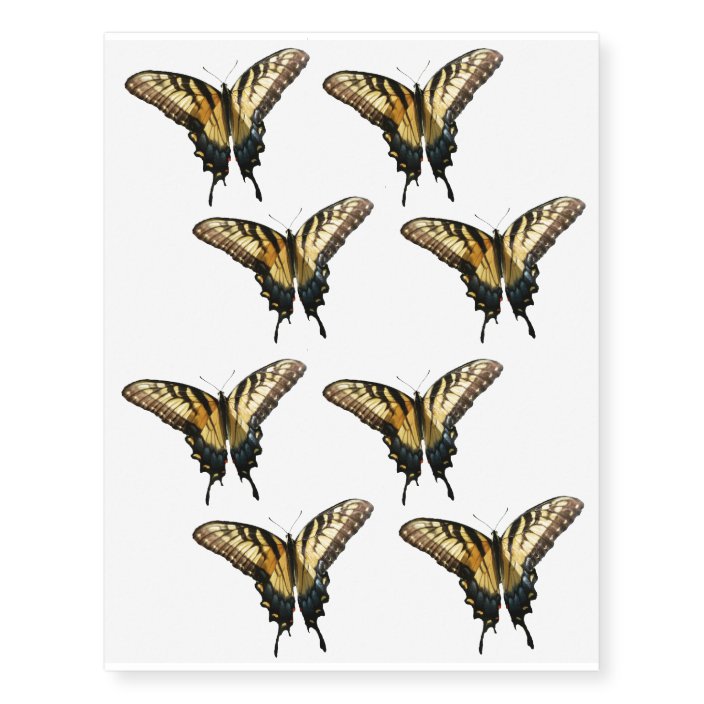 Swallowtail Butterfly Iii Beautiful Colorful Photo Temporary Tattoos Zazzle Com