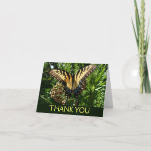 Swallowtail Butterfly III Beautiful Colorful Photo Thank You Card