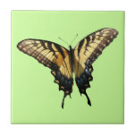 Swallowtail Butterfly III Beautiful Colorful Photo Tile