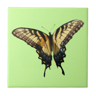 Swallowtail Butterfly III Beautiful Colorful Photo Tile