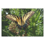 Swallowtail Butterfly III Beautiful Colorful Photo Tissue Paper