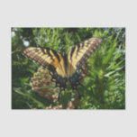 Swallowtail Butterfly III Beautiful Colorful Photo Tissue Paper