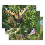 Swallowtail Butterfly III Beautiful Colorful Photo Wrapping Paper Sheets
