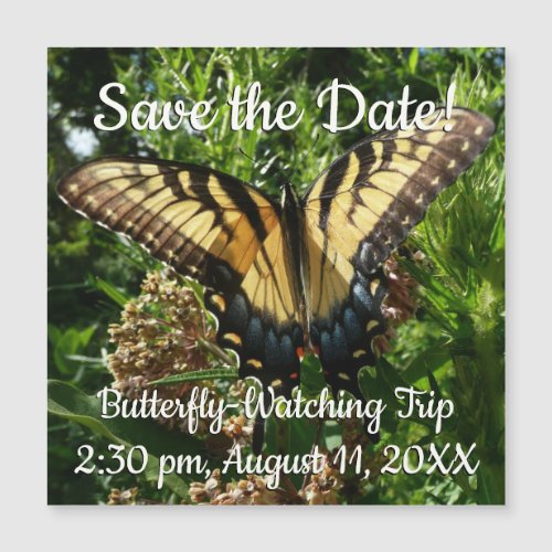Swallowtail Butterfly III Save the Date