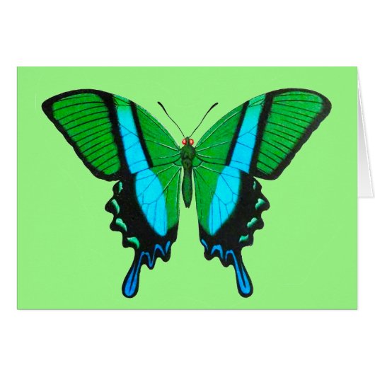 Swallowtail Butterfly in Green, Turquoise & Black Cards (Front Horizontal)