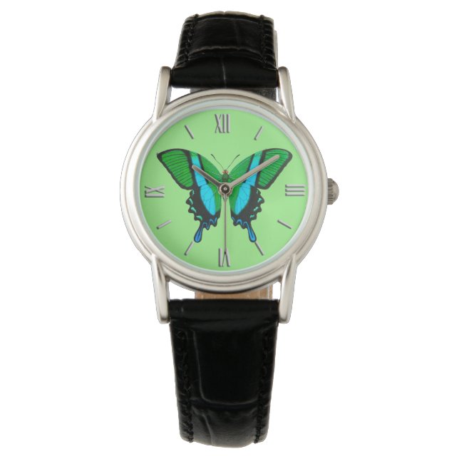 Swallowtail Butterfly in Green, Turquoise & Black Watch (Front)