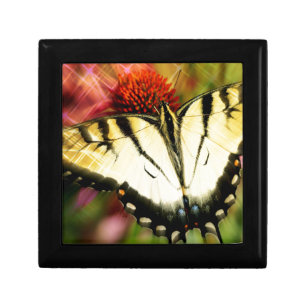 Swallowtail Butterfly Jewelry Box