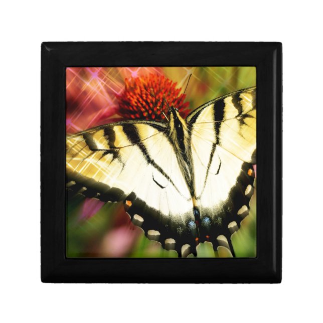 Swallowtail Butterfly Jewelry Box (Front)