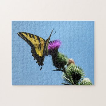 Swallowtail Butterfly Jigsaw Puzzle by hawkysmom at Zazzle