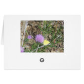 Swallowtail Butterfly&Lavendar Phlox Cards (Back Horizontal)