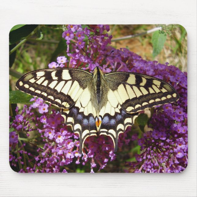 Swallowtail Butterfly Mouse Mat (Front)