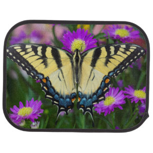 Swallowtail Butterfly on daisy Car Mat